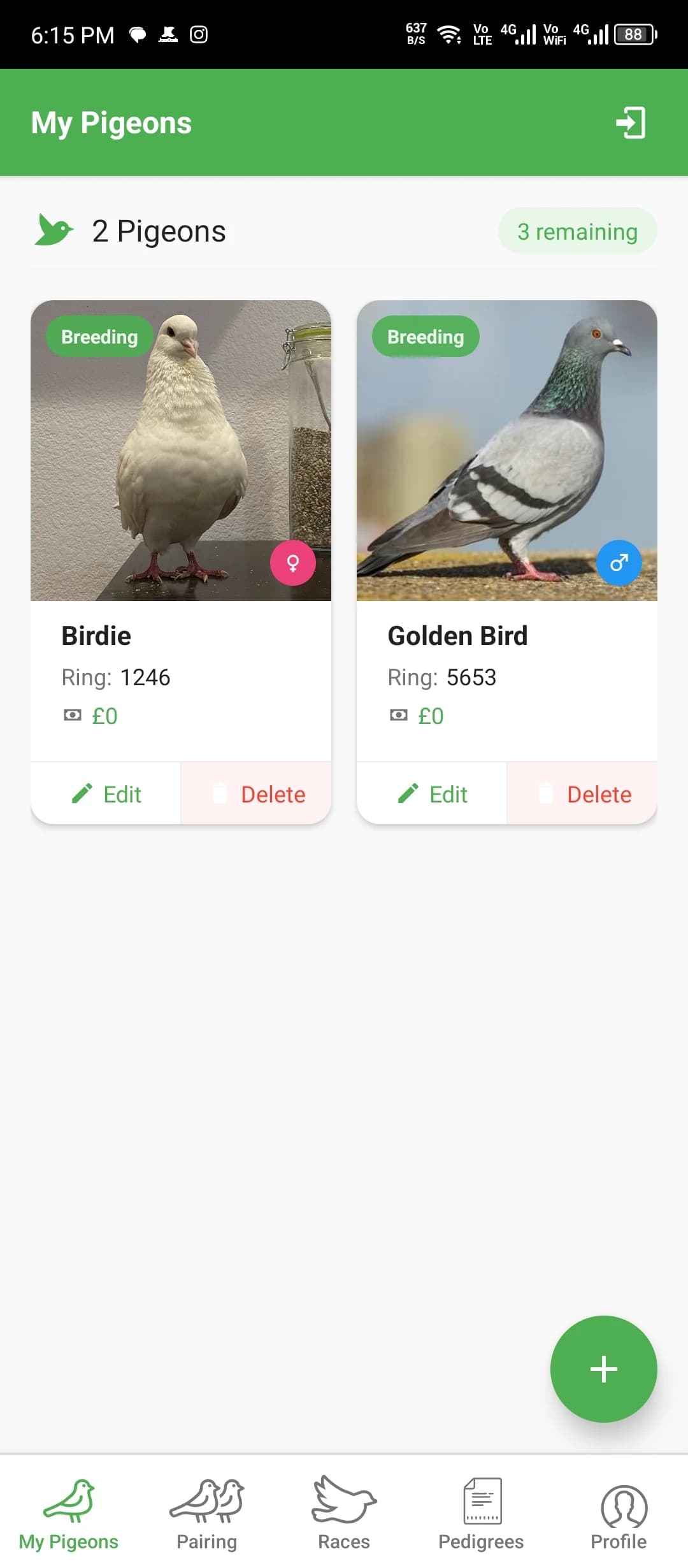 MyPigeon Records mobile app interface