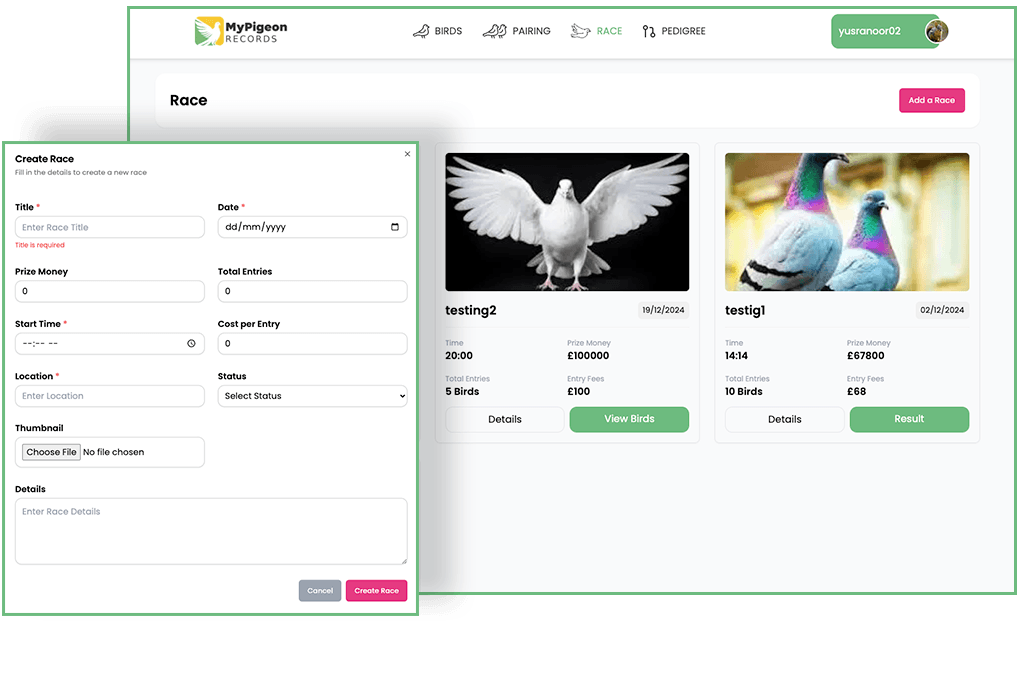 Racing Pigeon Performance Tracking Dashboard