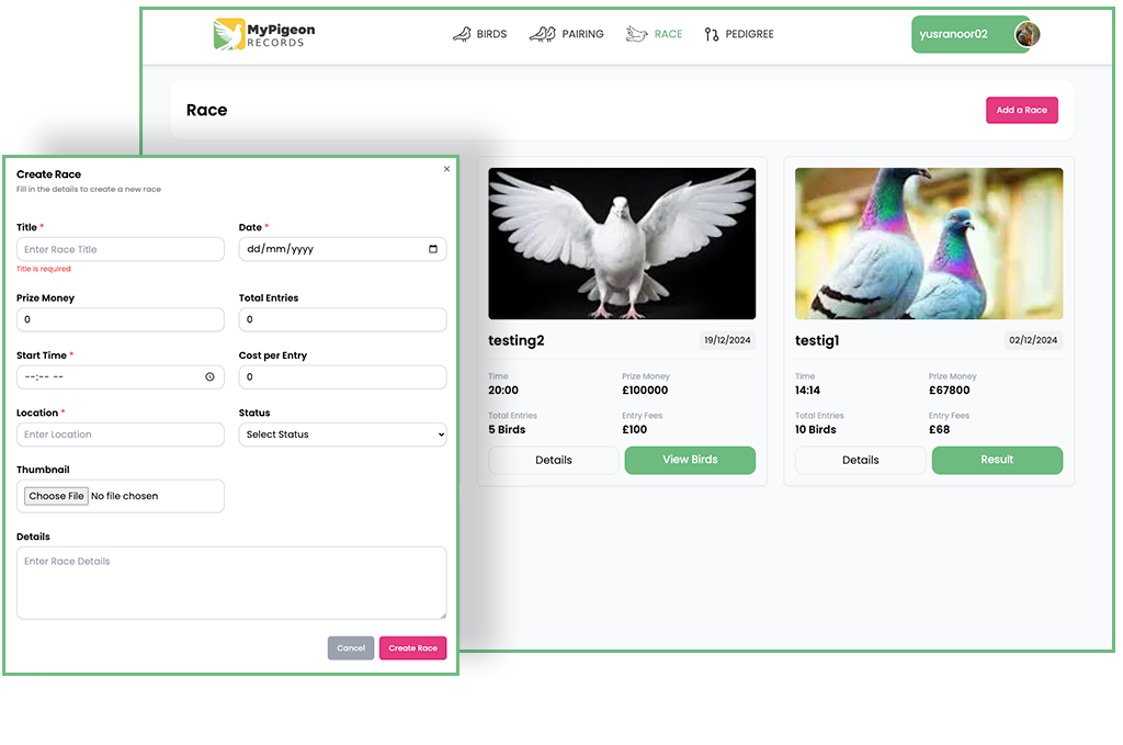Racing Pigeon Performance Tracking Dashboard