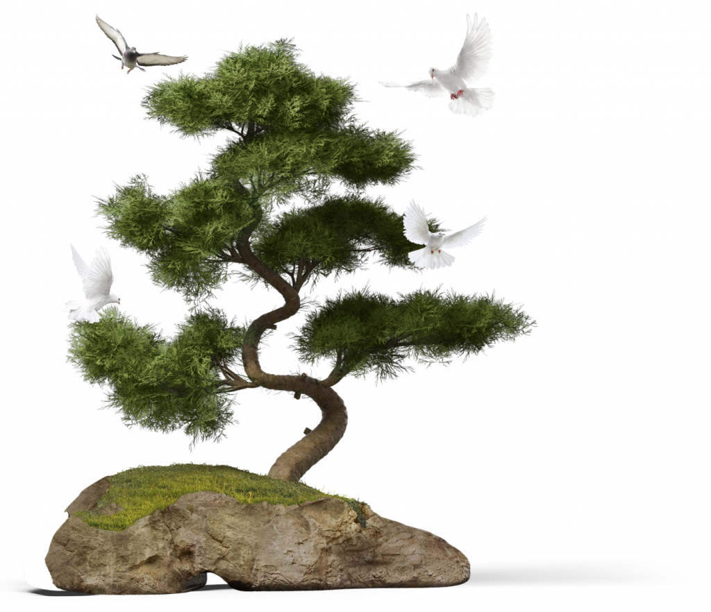 tree_image